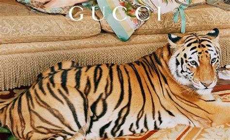 gucci tiger tuxedo|Take Your First Look At The Gucci Tiger Collection .